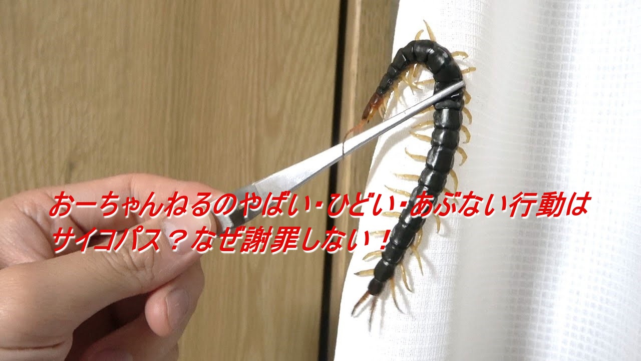 お ー ちゃんねる 炎上